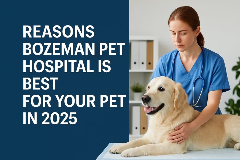 Veterinarian gently examining a golden retriever at Bozeman Pet Hospital, symbolizing trusted and affordable pet care in 2025.