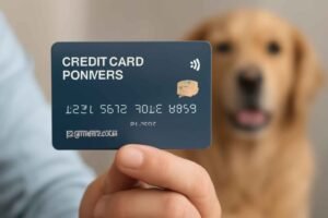 "Close-up of a person holding a navy blue 'Credit Card for Pets' with a golden retriever softly blurred in the background"